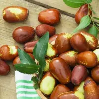 Зізіфус / Унабі