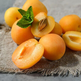 Абрикос Голд Річ (саджанець, трьохрічний)