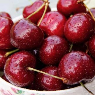 Черешня Біг Стар (саджанець, трьохрічний)