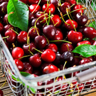 Черешня колоновидна Яхім