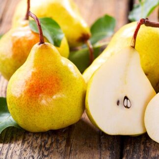 Груша Дюшес (саджанець, трьохрічний)