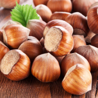 Саджанці фундука Каталонський / дворічний