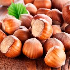 Саджанці фундука Президент (сіянець) / трирічний