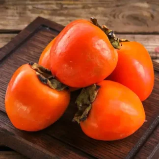 Саджанці хурми Биче Серце - 1-річний