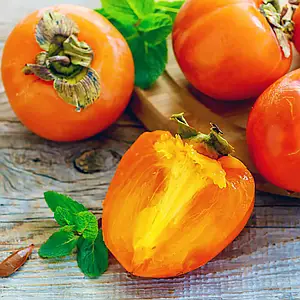 Саджанці хурми Джон Рік - 1-річний