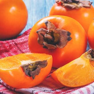 Саджанці хурми Мідер - 1-річний