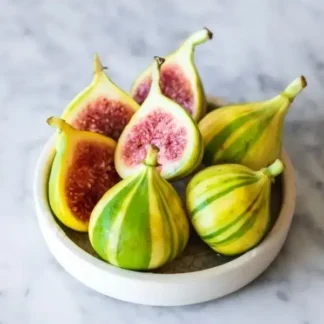 Саджанці інжиру Смугастий Панч