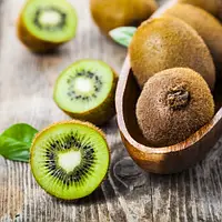 Саджанці ківі Едвард / дворічний