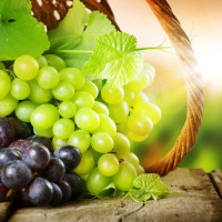 Виноград