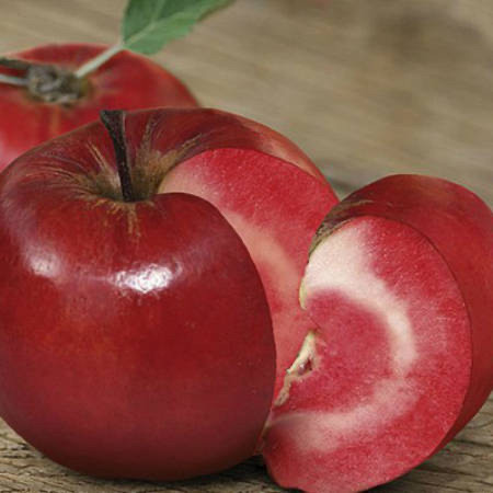 Яблуня Ред Сан (саджанець, дворічний)