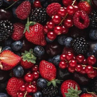 Саджанці ягідних кущів